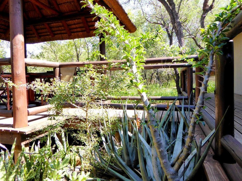 Hoedspruit Raptors Lodge N16 Buitenkant foto